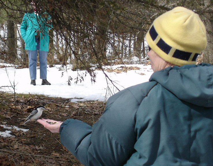 Beverlee and Friend, Picnic Area #9