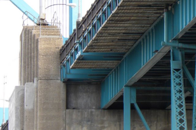 Ambassador Bridge Falcons: freddie on nest, female on bridge.