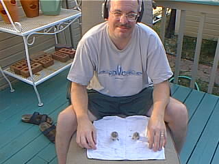 Harley and Laurel Again