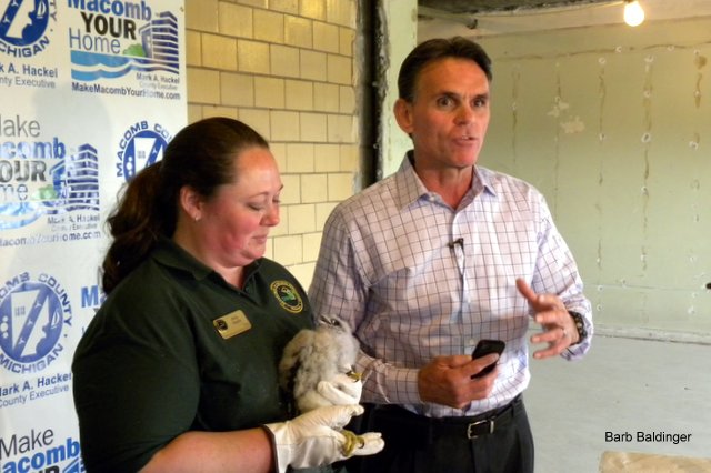 Holly Vaughn and Mark Hackel and chick by Barb Baldinger 6-1-2015