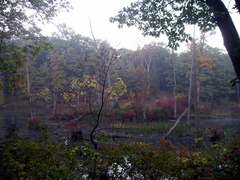 Campout Photo 24: Bottomlands