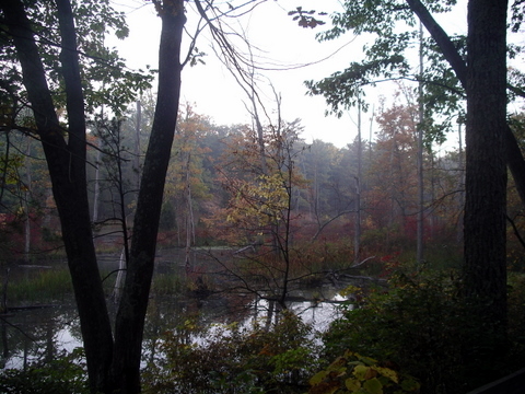 Campout Photo 26: Bottomlands