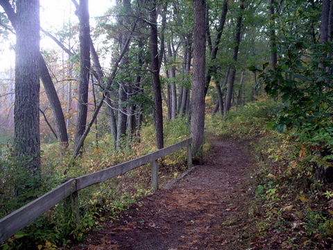 Campout Photo 27: Trails