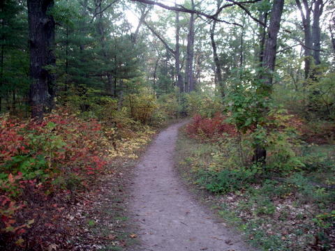 Campout Photo 28: Trails