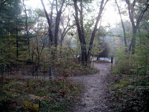 Campout Photo 29: Trails