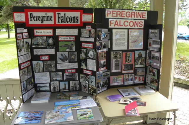 Mt. Clemens Gathering by Barb Baldinger 6-21-2014 