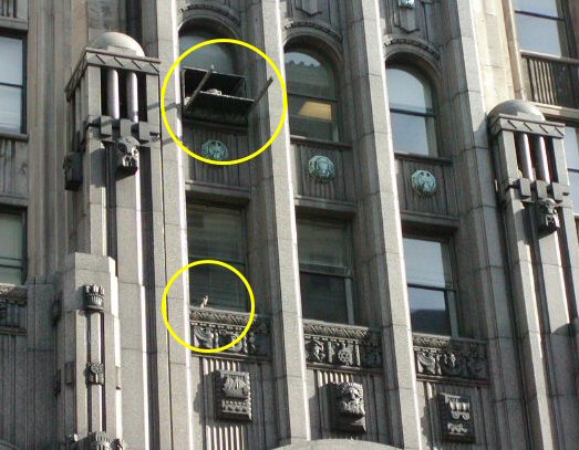 Nest box is above, Cadette's position is below.