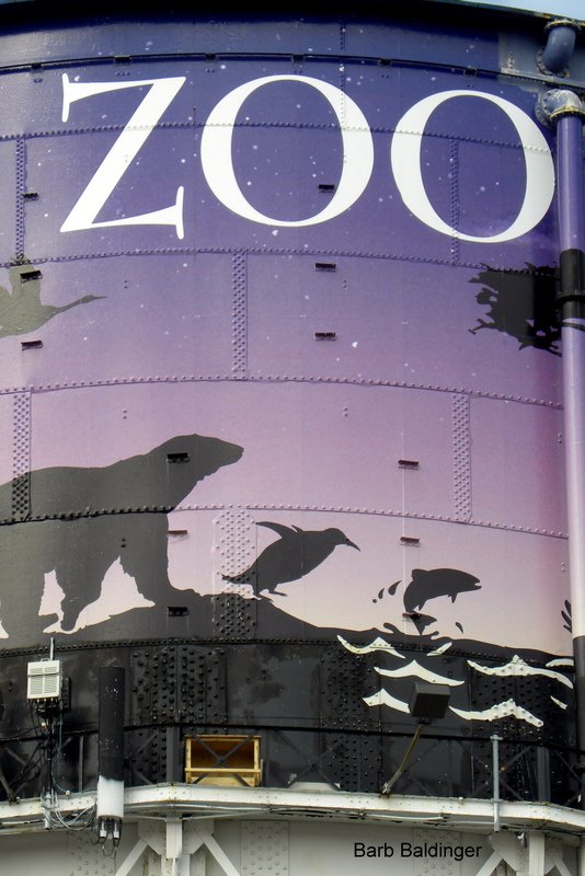 Nestbox on Detroit Zoo Watertower by Barb Baldinger 2-17-2017