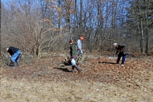 Stony Creek Metropark