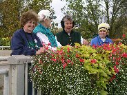 The gardens in Grand Bend