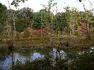 The old channel of the Au Sable.