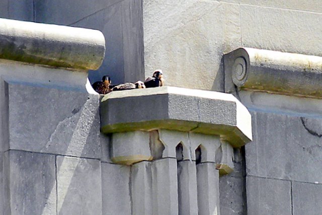 Tucker Wetzel Cass on ledge