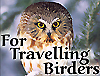 BirdingPal.com
