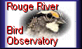 Rouge River Bird Observatory